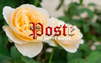 La poste de Mont-Royal | TMR Post
