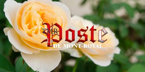 La poste de Mont-Royal | TMR Post