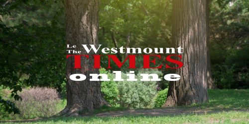 Le Westmount-Times online